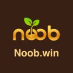 NOOB.WIN